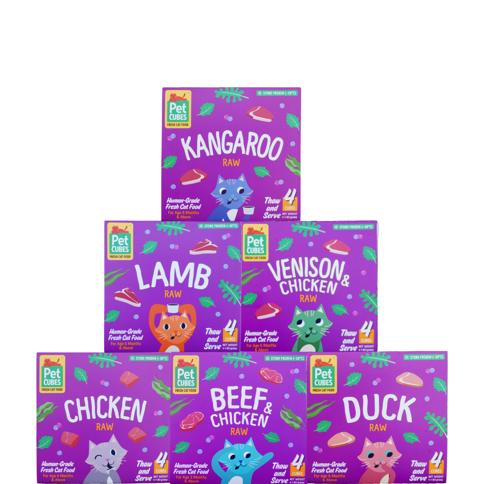 Premium Raw Food For Cats PetCubes premium-raw-food-for-cats-petcubes