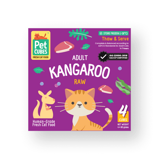 Raw Wild Kangaroo for Cats (Single)