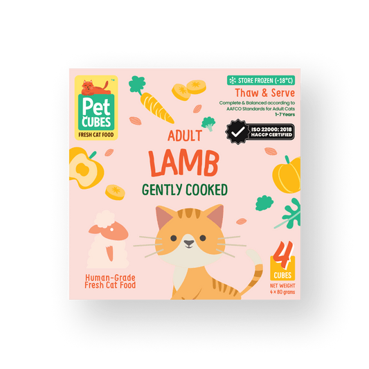 Gently Cooked Lamb for Cats (Case)