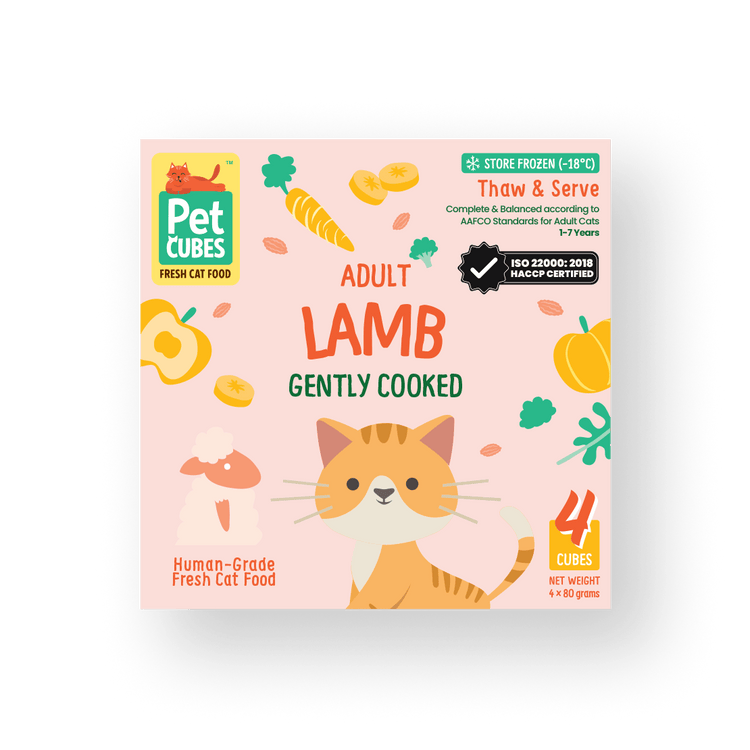 Gently Cooked  Lamb for Cats (Trial)