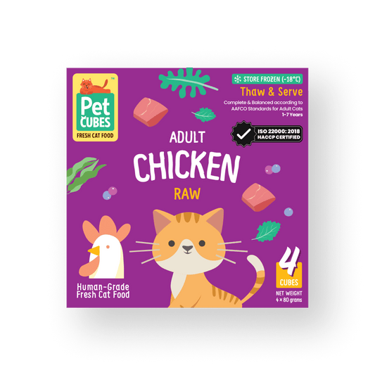 Raw Chicken for Cats (Single)
