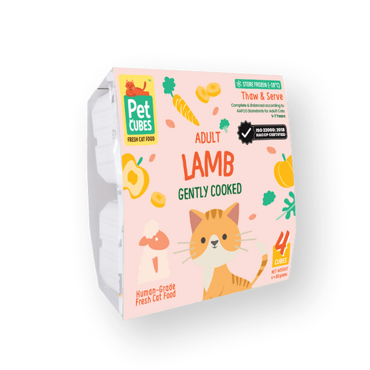 Gently Cooked  Lamb for Cats (Trial)