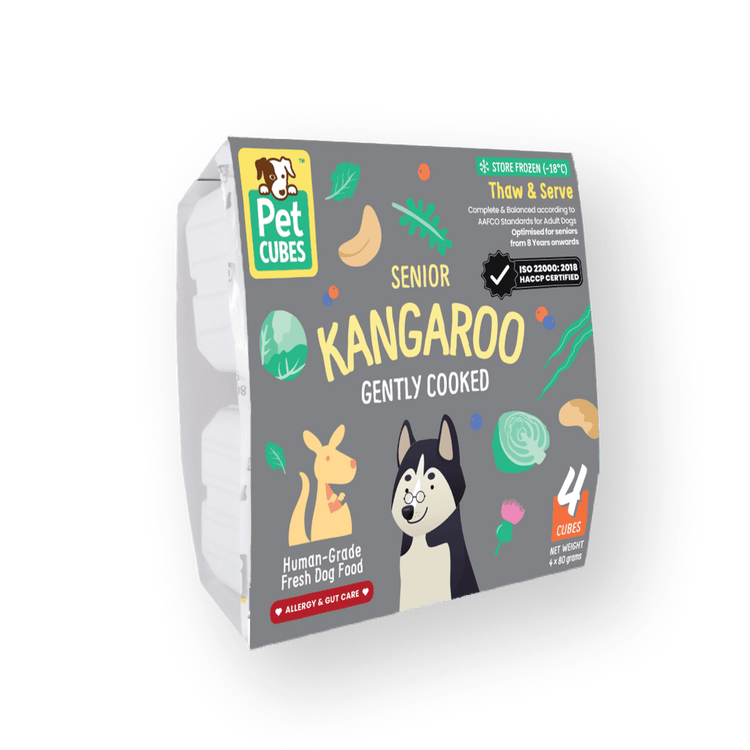 Senior Kangaroo (Case)
