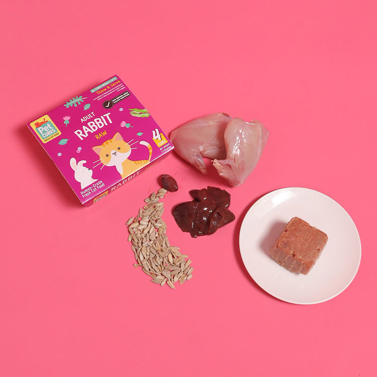 Raw Rabbit for Cats (Case)