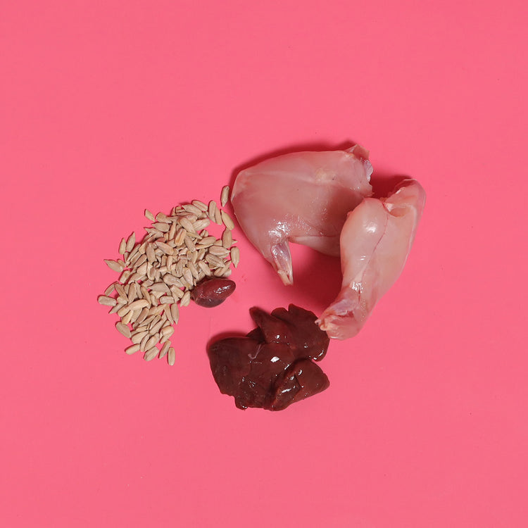Raw Rabbit for Cats (Case)