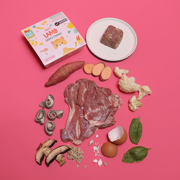 Gently Cooked Lamb for Cats (Case)