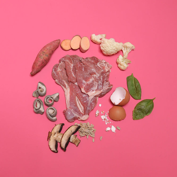 Gently Cooked Lamb for Cats (Case)