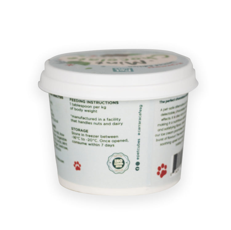 Festive Mint Chocolate Ice Cream 3.5oz