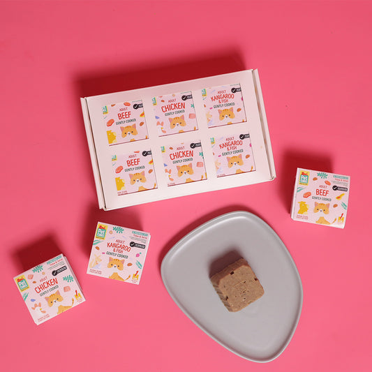 Gently Cooked Pawty Pack for Cats