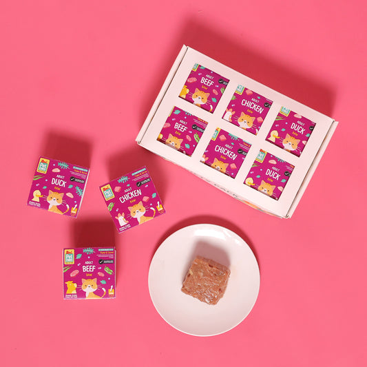 Raw Pawty Pack for Cats