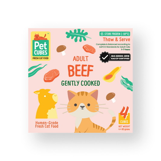 Gently Cooked Beef for Cats (NEW!) (Case)