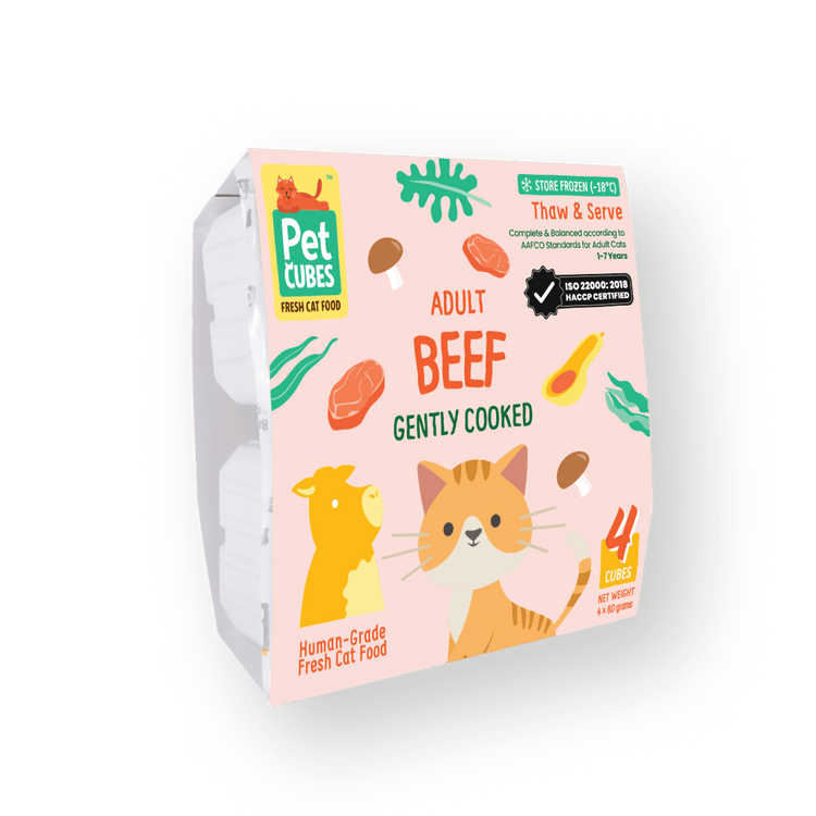 Gently Cooked Beef for Cats (NEW!) (Case)