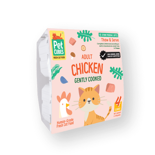 Gently Cooked Chicken for Cats (NEW!) (Case)