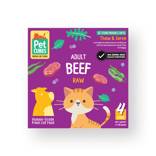 Raw Beef & Chicken for Adult Cats