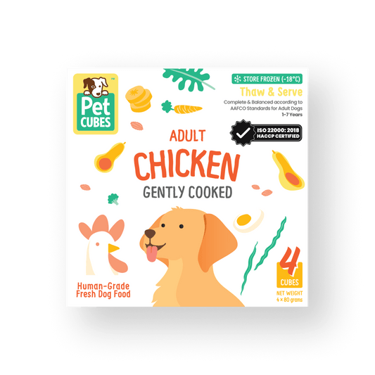 Gently Cooked Chicken for Adult Dog