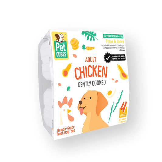 Gently Cooked Chicken for Adult Dog