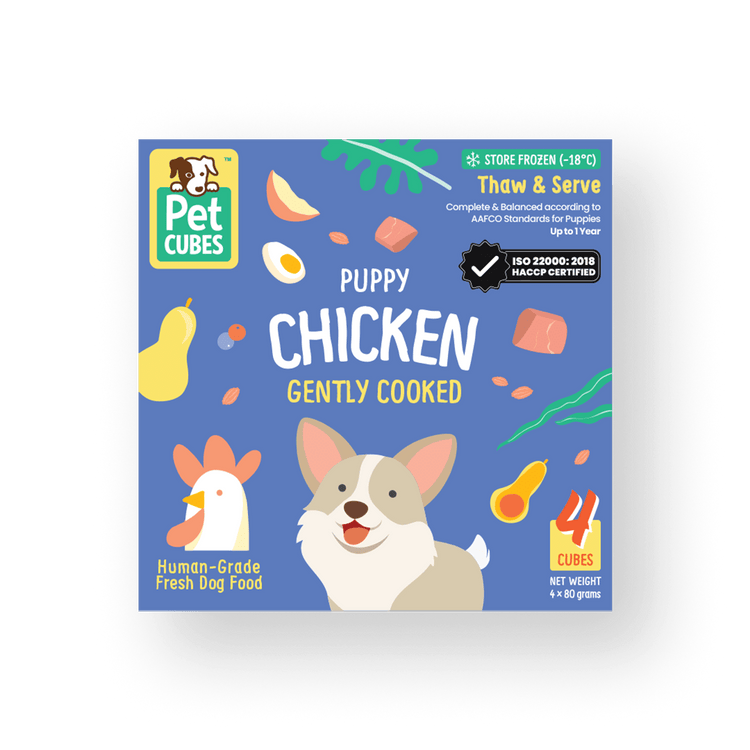 Puppy Chicken (Case)