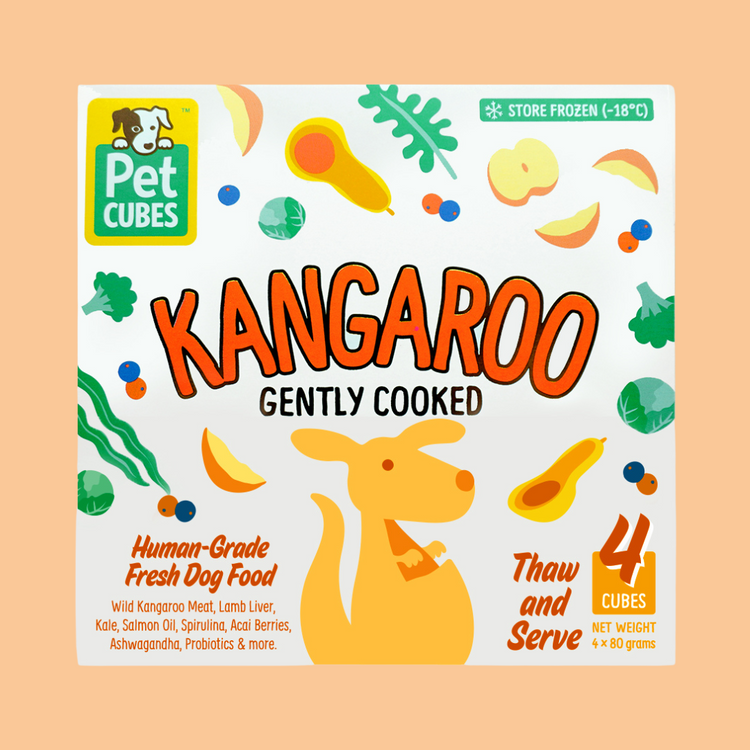 Kangaroo (Single)